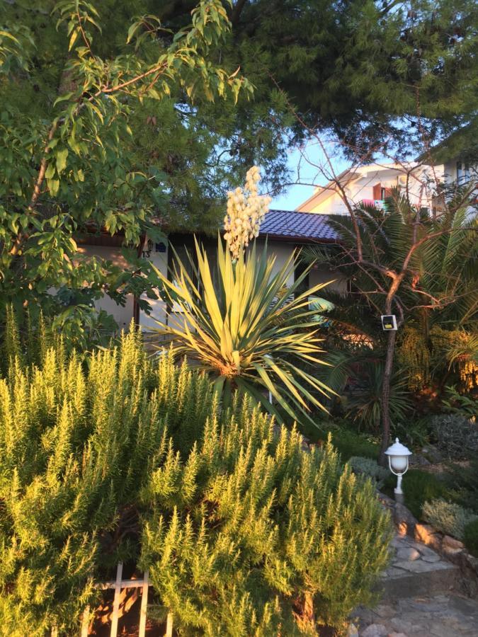 Beach House Starigrad Paklenica Luaran gambar